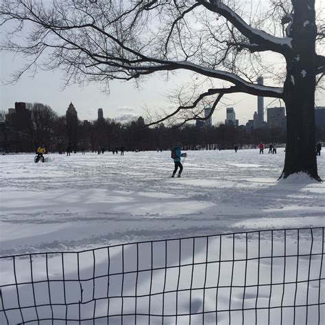 Central Park in winter (with photos) – Julie Brannan, NYC residential ...