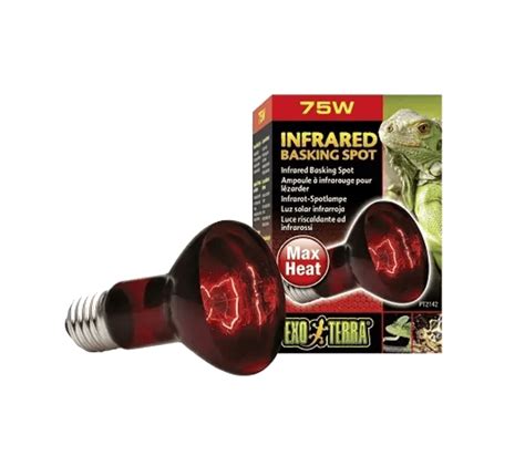 7 Best Basking Bulbs for Bearded Dragons [Reviews 2022 ] | Pet Keen