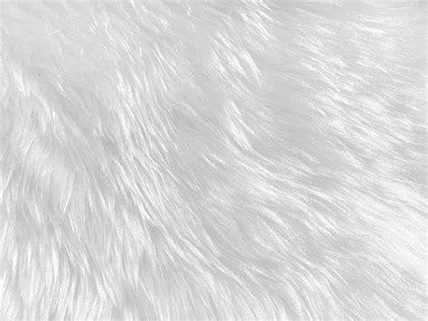 White clean wool texture background. light natural sheep wool. white ...