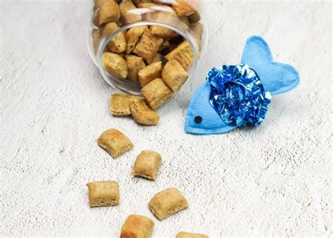 Tuna and Cheese Homemade Cat Treats - Your Purrfect Kitty