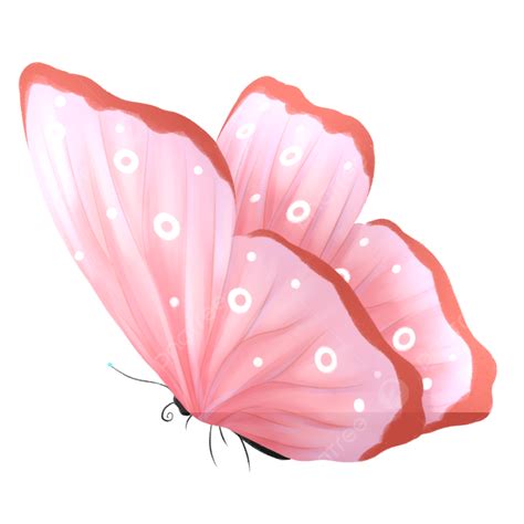 Flying Butterfly Silhouette Clipart Transparent PNG Hd, Flying Flower Butterfly, Butterfly ...