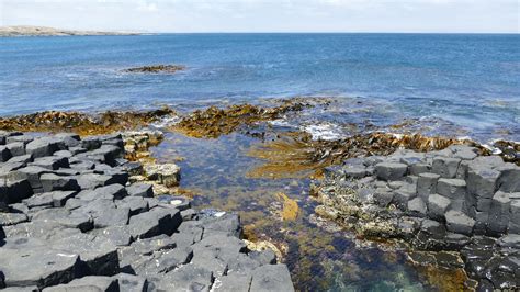 Basalt Columns - The Chatham Islands