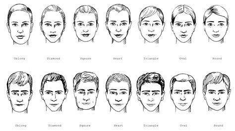 face shapes | Drawing face shapes, Male face shapes, Face shapes