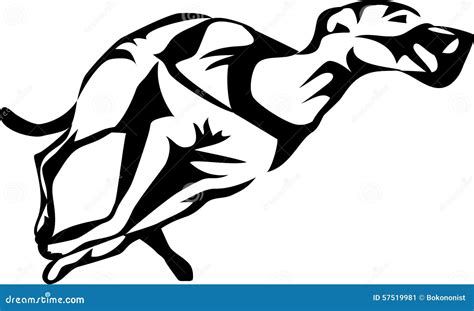 Greyhound dog racing stock vector. Illustration of hunt - 57519981