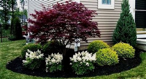 Front Yard Evergreen Landscape Garden 1 image is part of 50 Ideas to ...