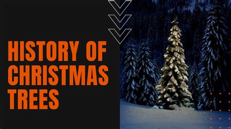 History of Christmas Trees | The Daily Dose