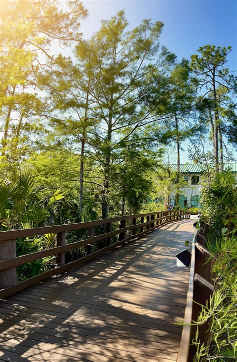 Change is in the air as FGCU begins fall term - FGCU 360