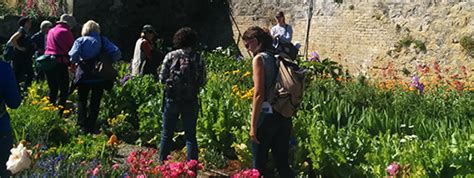 Alcatraz Historic Garden Tour | SF