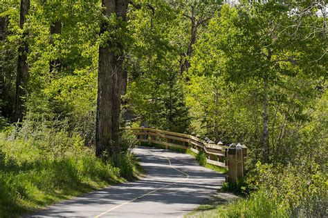 Fish Creek Provincial Park – East End - Dalhousie Community Association