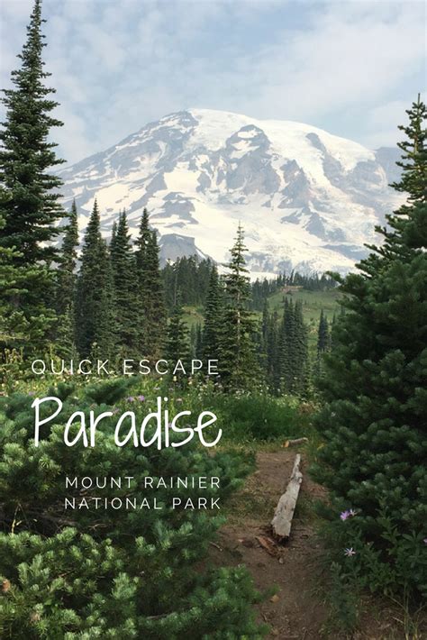 DAY TRIP: Hiking in Paradise at Mount Rainier | Northwest TripFinder