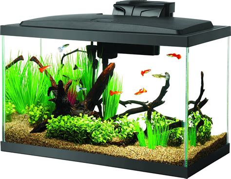 Best 10 Gallon Fish Tanks 2020 - Get aquarium fish