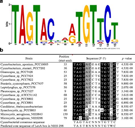 (a) Sequence logo generated using WebLogo (Crooks et al. 2004) on MEME ...