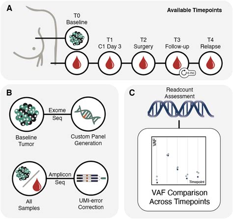 Overview of the methods for sample collection and sequencing. (A) Tumor... | Download Scientific ...