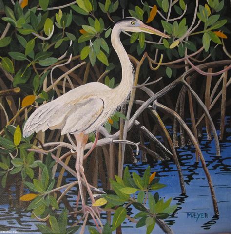 Image result for mangrove art | Art, Animals, Bird