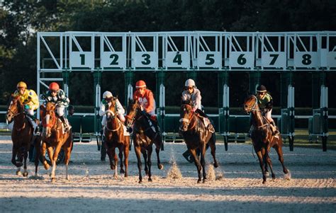 The Durban July: South Africa’s Premier Horse Racing Event - THISDAYLIVE