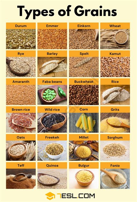 Types of Grains in English • 7ESL