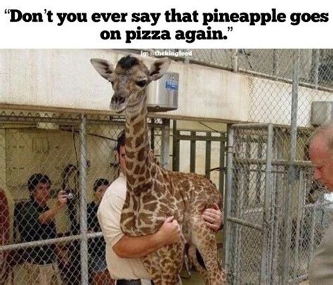 7 Giraffe Memes That Will Totally Make You LOL - King Feed | Funny ...