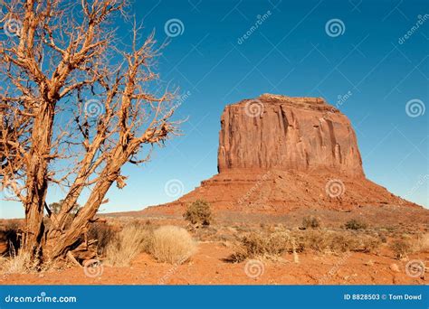 Scenic Desert Plateau Stock Photos - Image: 8828503