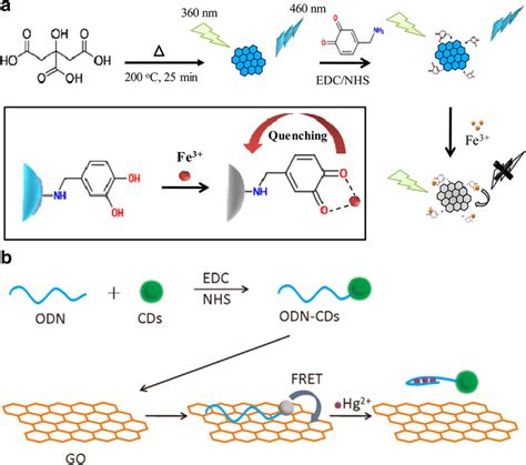 Carbon Dots as an Effective Fluorescent Sensing Platform for Metal Ion Detection | Nanoscale ...