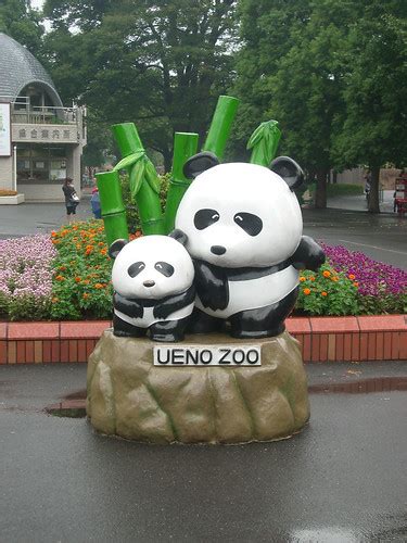 Pandas at Ueno Zoo | Emma | Flickr