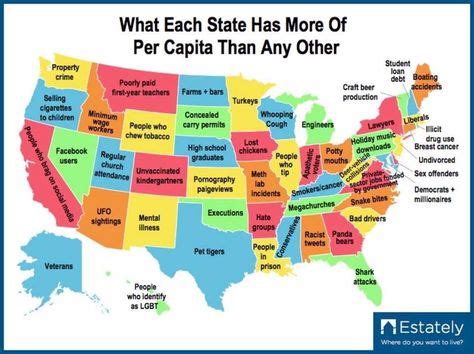 Pin by Gregory Harrison on Interesting | Funny maps, Map, U.s. states