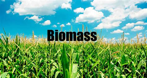 Biomass – Renewable Energy Sources