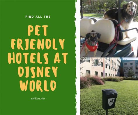 Pet-Friendly Hotels at Walt Disney World Resort - AllEars.Net