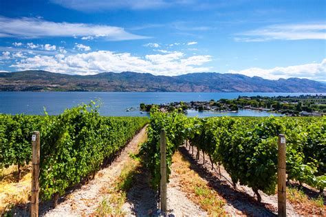 10 Best Wineries in Kelowna - Where to Go in Kelowna for a Great Glass ...