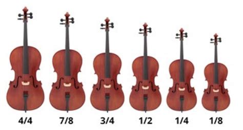 What Is A Cello? Facts, History, And Usage Of Violoncello!