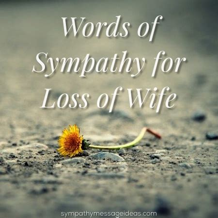 Sympathy Letter For Loss Of Wife Database - Letter Template Collection