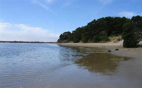 9 Best Beaches in Florence, Oregon: A Local's Guide (2024)