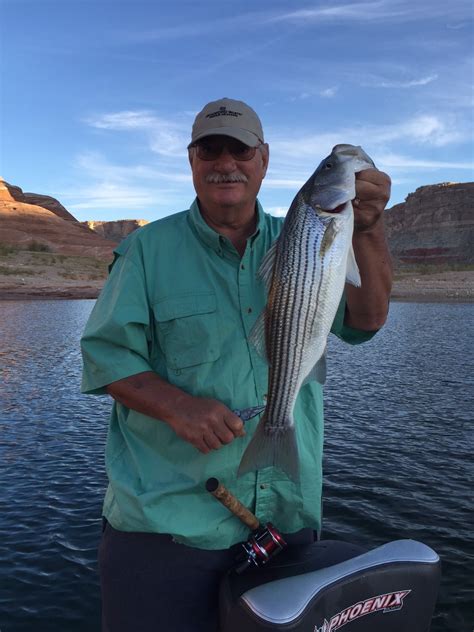 Lake Powell Fishing Report by Wayne Gustaveson 9-30-15 – Ambassador ...