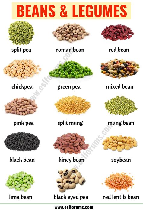 Types of Beans: 15 Different Types of Beans & Legumes with the Picture ...