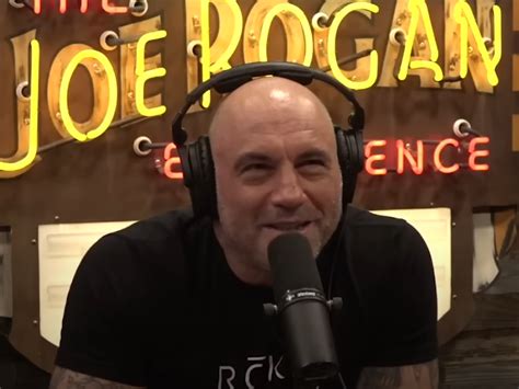 Joe Rogan calls out Jordan Peterson for deadnaming Elliot Page - Trusted Bulletin