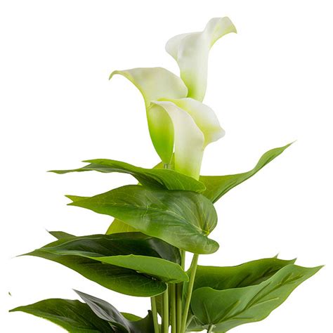 40cm Artificial Calla Lily Potted Plant - Set Of 2 | Home Shoppe