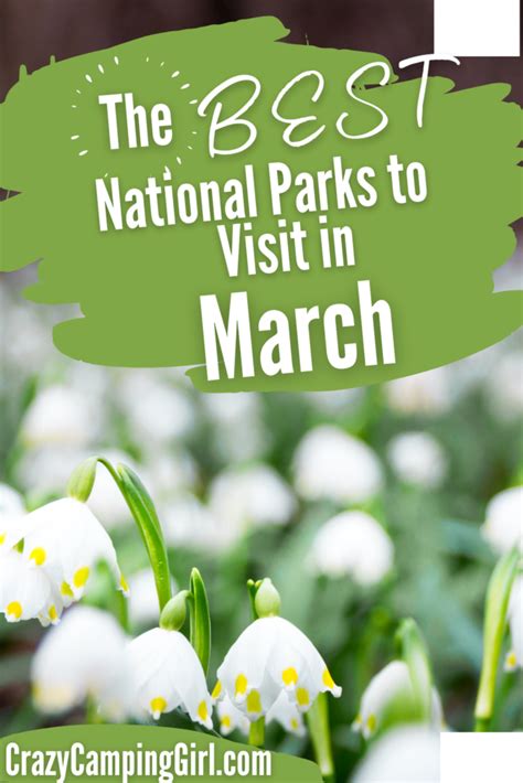 The Best National Parks to Visit in March - Crazy Camping Girl