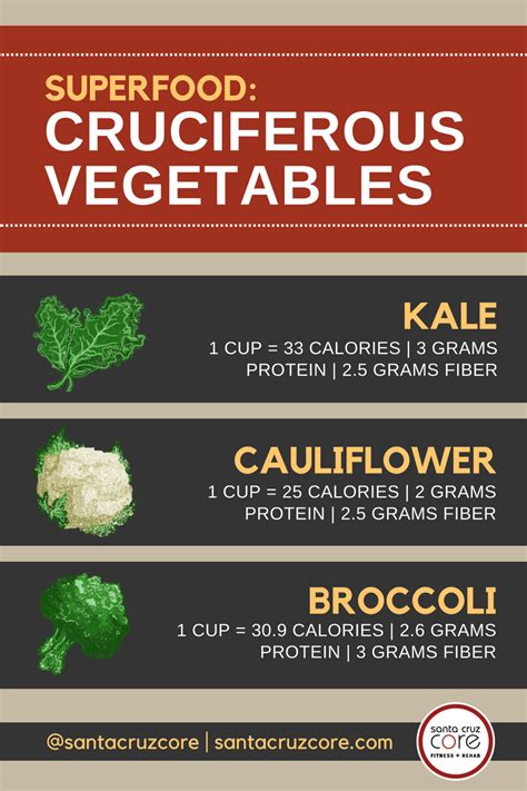 Superfoods: Cruciferous Vegetables | Santa Cruz CORE Fitness + Rehab