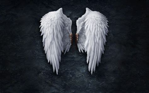 Angel Wings Wallpapers - Wallpaper Cave