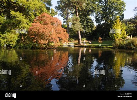 Autumn colours new forest hi-res stock photography and images - Alamy