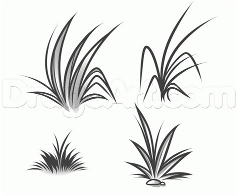 how-to-draw-grass | Grass drawing, Landscape drawings, Drawings