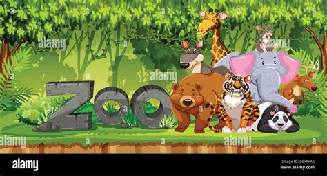 Set of zoo animals in jungle Stock Vector Image & Art - Alamy