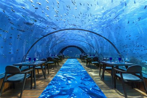 11 Incredible Underwater Hotels around the WorldThe World's Greatest Vacations