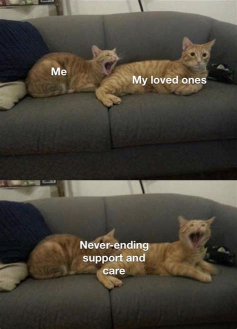 Makes me happy to help people (: | /r/wholesomememes | Wholesome Memes | Know Your Meme