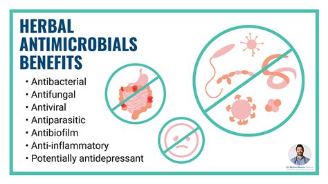 Antimicrobials vs. Antibacterials: What’s the Difference?