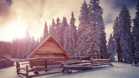 Pines, 4k, snow, sunset, house HD Wallpaper