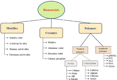 2 Schematic diagrams showing the general classification of biomaterials | Download Scientific ...