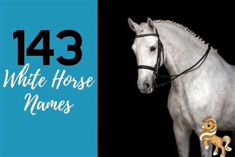 143 Names for White Horses - Including Barn Names & Show Names ...