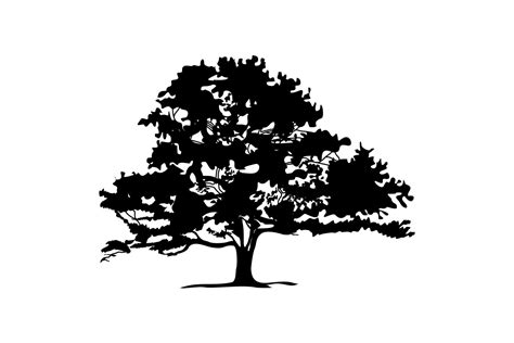 Oak Tree Outline Image