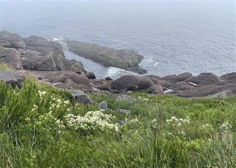 How to Pronounce Newfoundland Like a Local