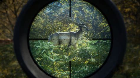 The Hunter: Call of the Wild - Where to Shoot?